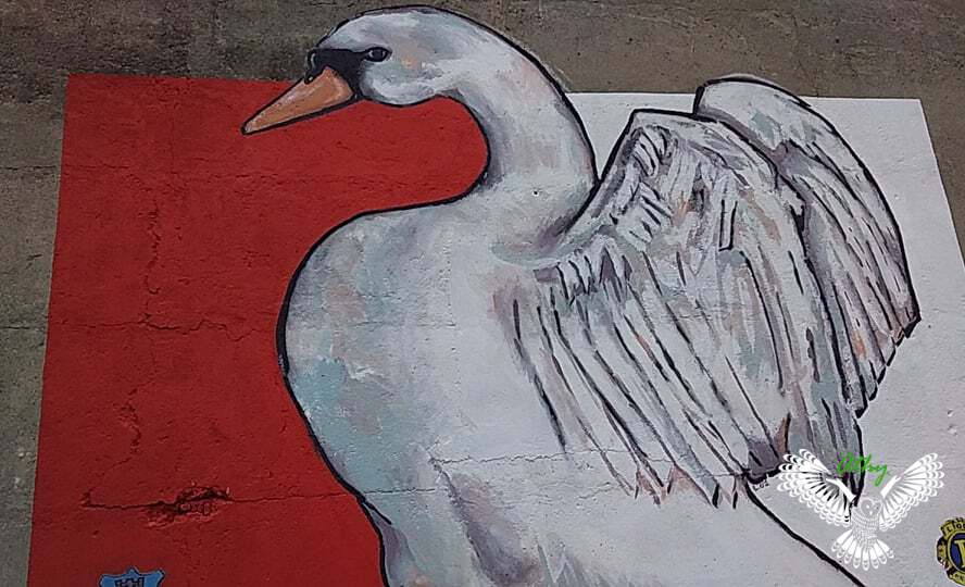 Athy Ireland Mural Swan